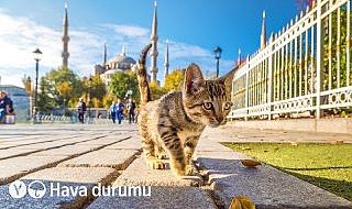 Türkiye’nin büyük şehirlerinde Eylül ayının ortalarında görülen sıcak ve güneşli havalar yerini serin ve yağışlı havaya bırakacak