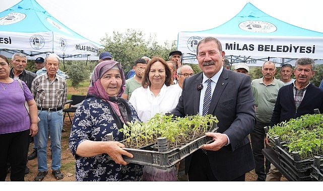 Milas Belediyesi, ata tohumlarını yaşatmak için üreticilere fide dağıtımı gerçekleştirdi